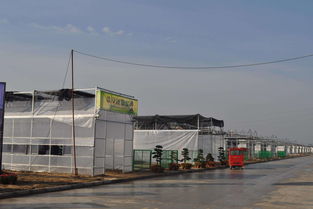 農(nóng)村這四類(lèi)建筑會(huì)被清理，涉及范圍廣，快看是否影響你家